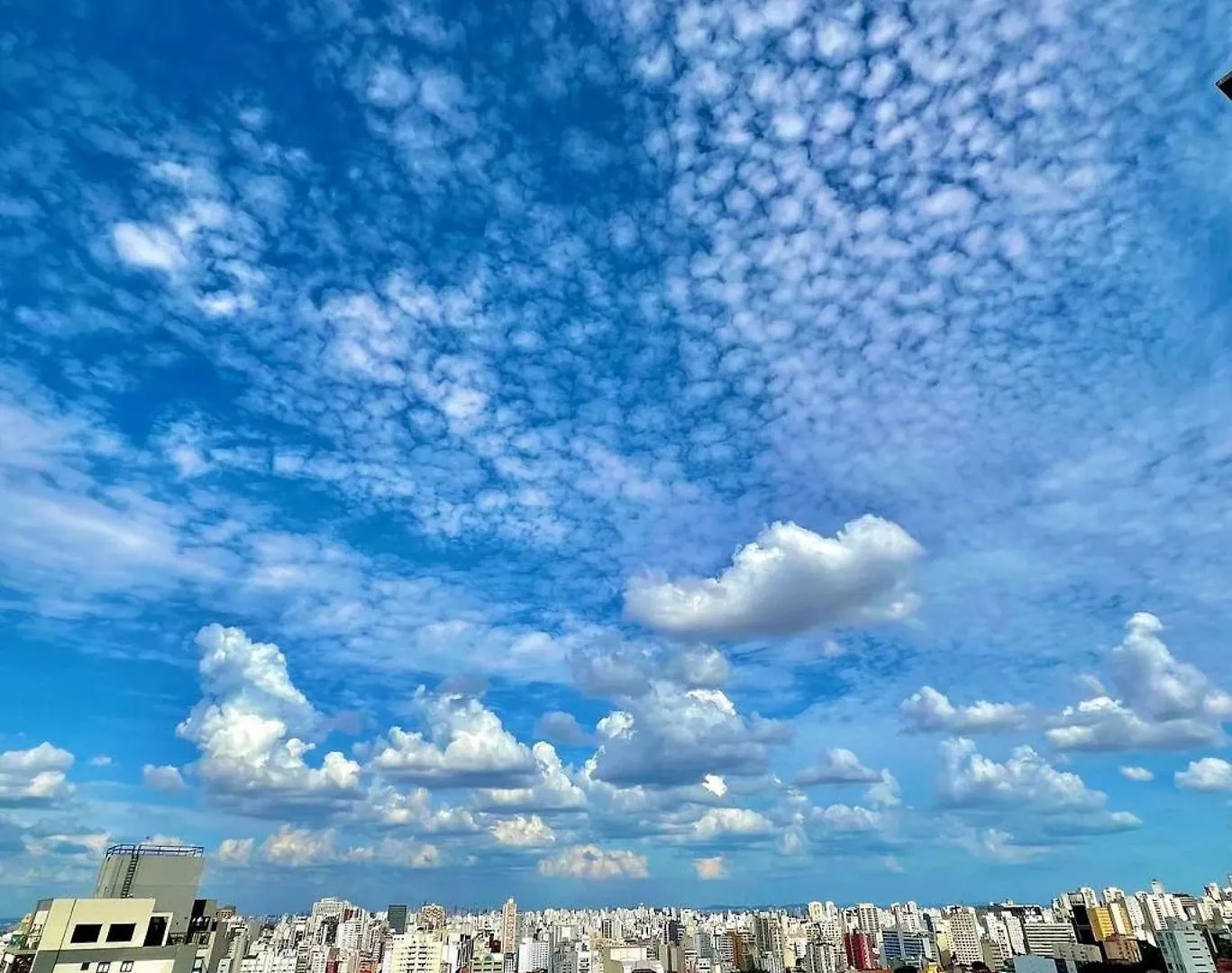 Vn Ueno Barata Ribeiro Lejlighed São Paulo